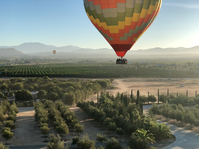 Balloons over vineyards 